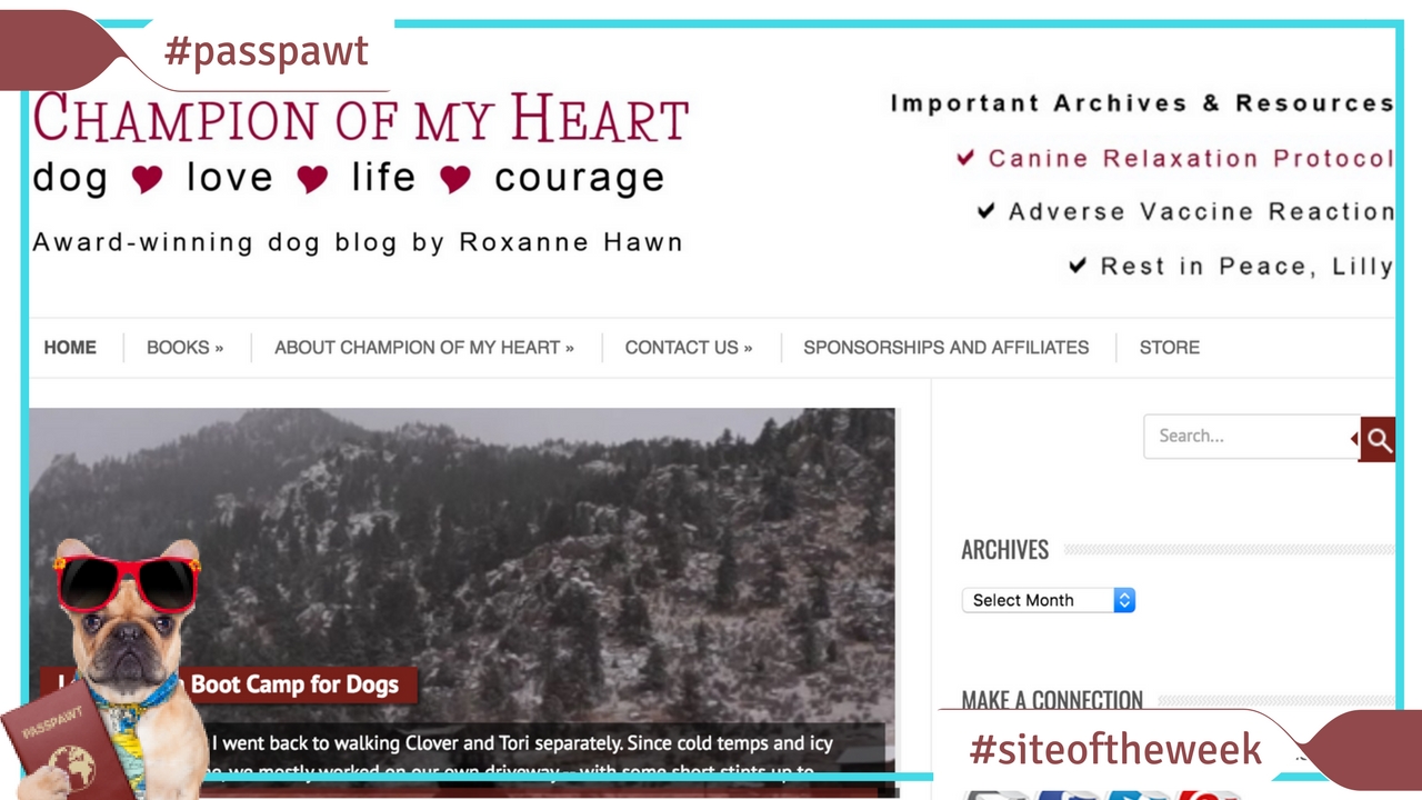 All Things Canine – Dog Website Of The Week – Champion Of My Heart