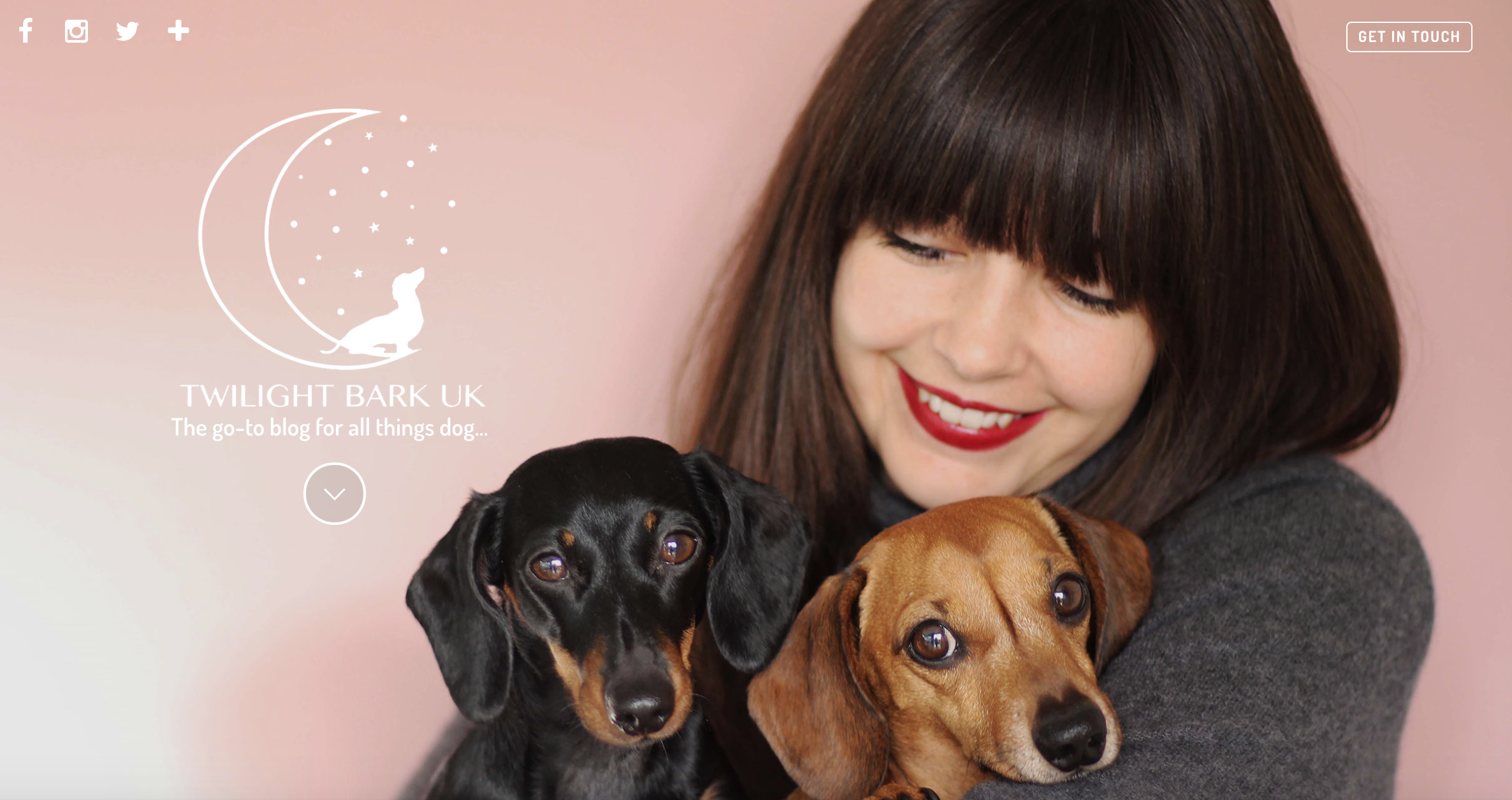 All Things Canine – Dog Website Of The Week – Twilight Bark UK
