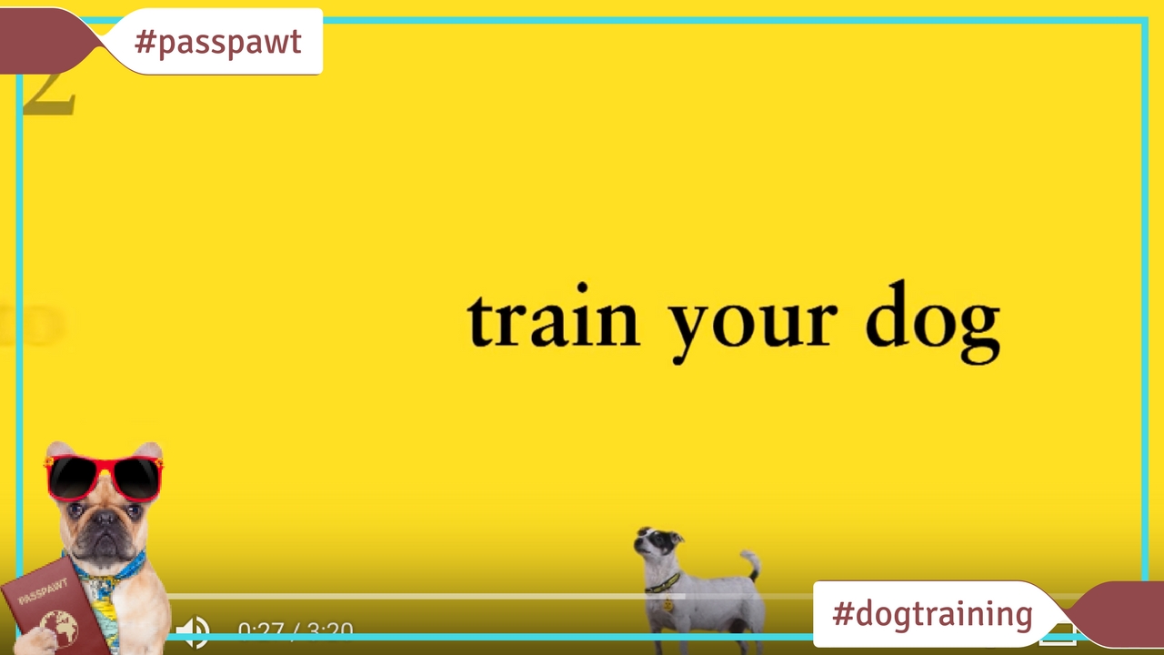 Dog Training Videos – Dog Training Videos – Dog Training Made Easy: How to Train